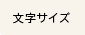 文字サイズ