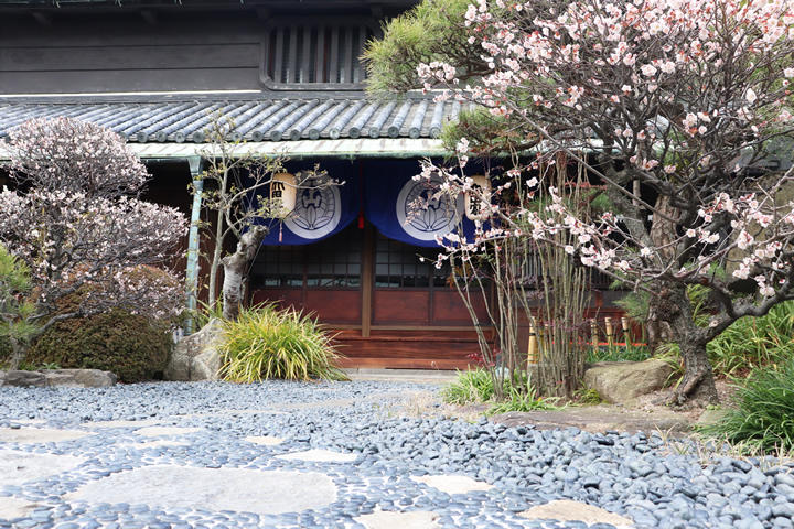 うどん本陣山田家