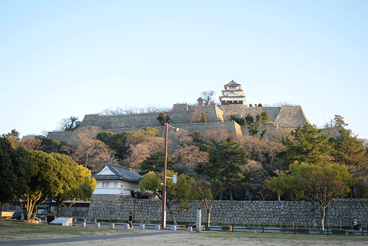 うちわ工房 竹