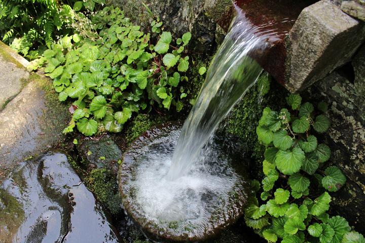 清水屋きよみずや