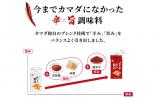 ※期間限定【鎌田醤油(株)】ピリ辛だし醤油 200ml