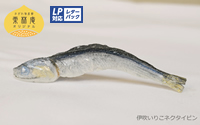 【かがわ物産館栗林庵】伊吹いりこネクタイピン