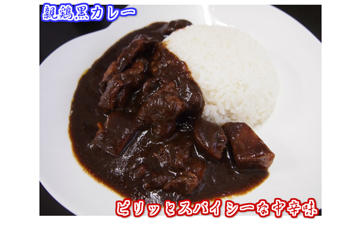 【(株)山食】おやどり黒カレー