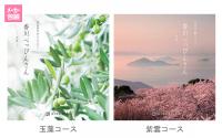 ※店舗受け取り専用※【リンベル (株)】香川県産品カタログギフト「香川べっぴんさん」