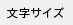 文字サイズ