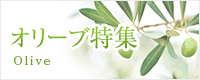 オリーブ特集